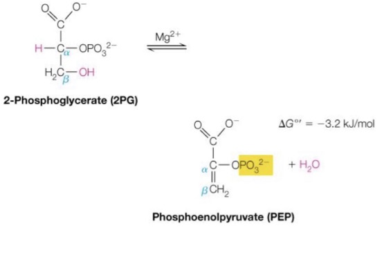 <p>What reaction is this?</p>