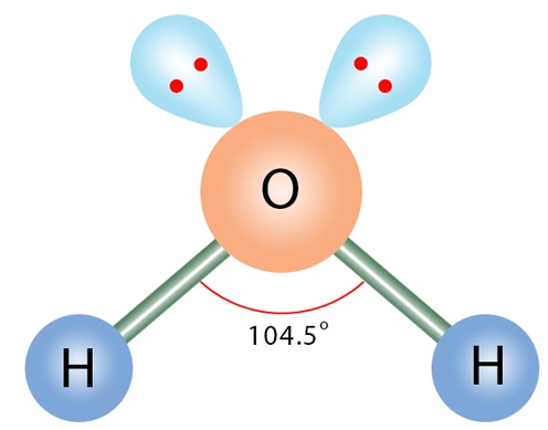 <p>AX<sub>2</sub>E<sub>2 </sub>– 4 electron domains<sub> </sub></p>