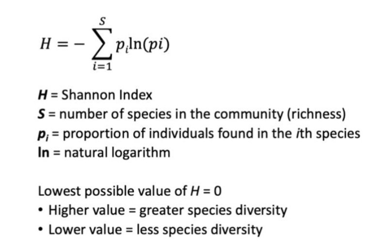 <ul><li><p>The Shannon index of diversity (H) is used to numerically estimate species diversity of a community</p><ul><li><p><span>0 is the lowest the value can be (very low diversity).</span></p></li></ul></li></ul><p></p>