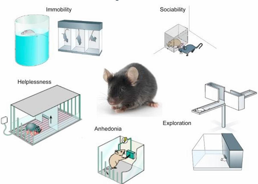 <p>Etiological: causing or contributing to the development of a disease or condition.</p>