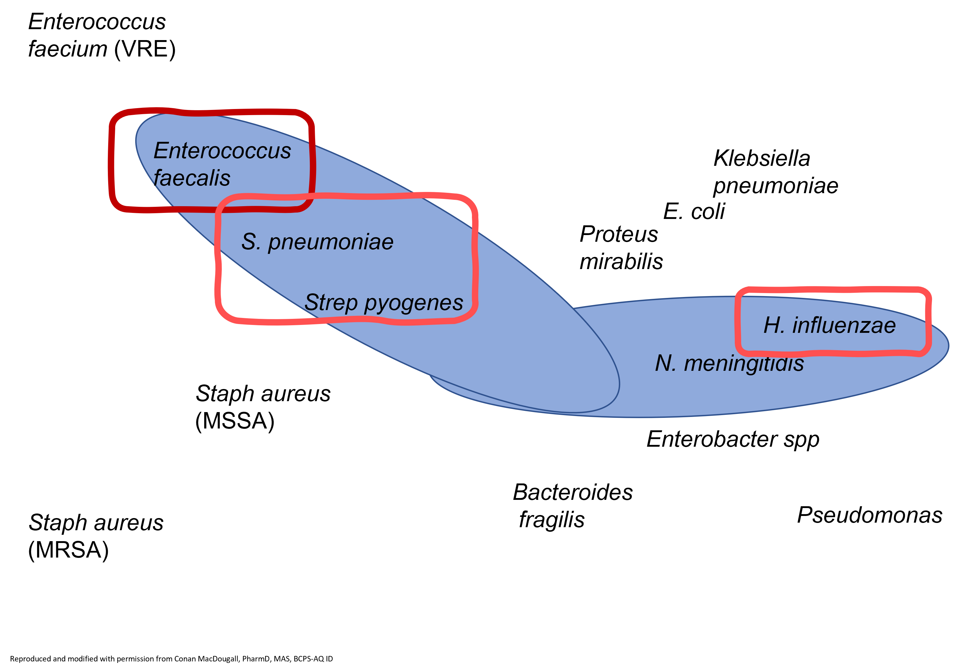 <p>name of the drug</p>