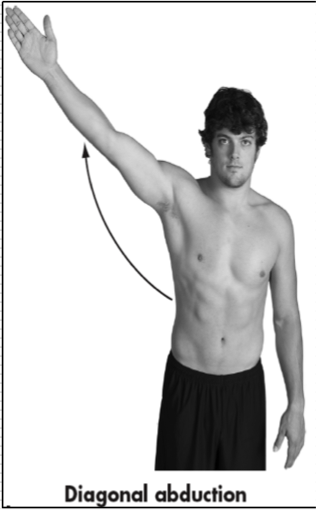 <p>Movement of humerus in a diagonal plane away from midline of body </p><p>Diagonal Plane</p>