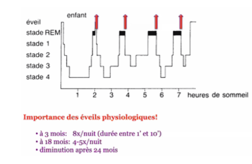 <ul><li><p>les causes principales sont des problèmes comportementaux</p><ul><li><p>Cause organique : RGO, allergie protéines de lait de vache </p></li><li><p>Cause psychologique</p></li></ul></li><li><p>Attention au diagnostic d’insomnie de l’enfant par excès : il est normal que l’enfant se réveille la nuit ce qui n’est pas normal c’est de ne pas savoir le rendormir</p></li></ul><p></p>