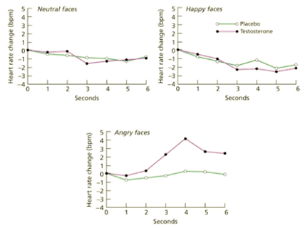 <p>Biases behavior toward dominance and aggression depending on context</p>