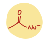 <p>Nucleophilic Acyl Substitution (Nu- for Y)</p>