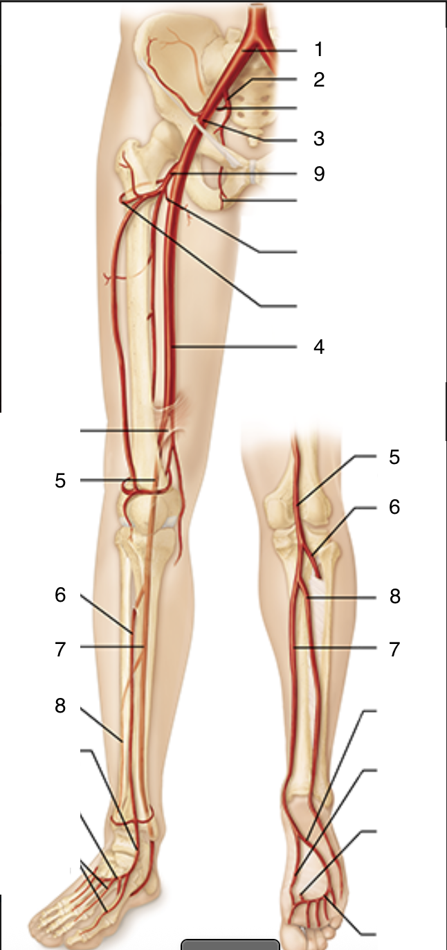 <p>1</p>