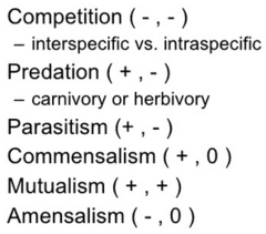 <p>Mutualism(+/+), Predator/Prey(+/-), Parasitism(+/-), Herbivory(+/-), Commensalism(+/0), Altruism(-/+), Facilitation(-/+), Competition(-/-)</p>