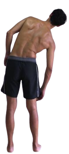 <p>Which way is this person's back leaning?</p>
