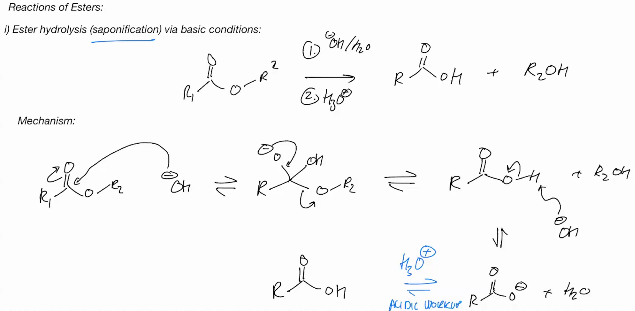 <p>Ester hydrolysis (saponification) BASIC CONDITIONS</p>