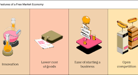 <p>Economy System where itās directed by individual choices</p>
