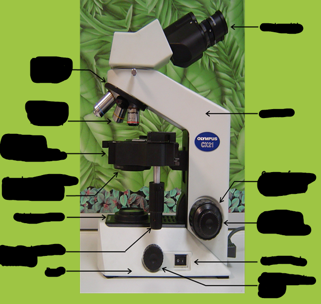 <p>Label the compound light microscope</p>