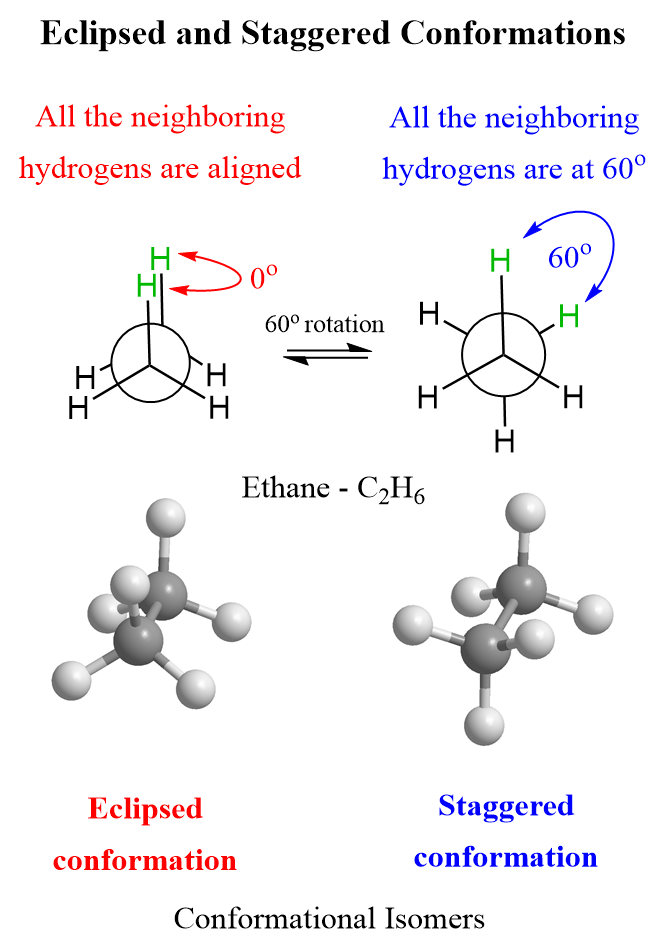 <p>Different 3D shapes of the same alkane molecule caused by rotation around a <strong>single (sigma) bond</strong>.</p><p>So:</p><ul><li><p>same molecule</p></li><li><p>same connectivity</p></li><li><p>just different <strong>rotations in space</strong></p></li></ul><p></p>