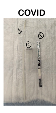 <p>COVID-19 Testing</p><ul><li><p></p><p><span style="line-height: 1.15;"><strong>Preparation</strong>: Have the patient blow their nose and tilt their head back</span><span>.</span></p><p></p></li><li><p></p><p><span style="line-height: 1.15;"><strong>Collection</strong>: Insert a nasopharyngeal swab, twist, and remove</span><span>.</span></p><p></p></li><li><p><strong>Processing</strong>:</p><ul><li><p><span style="line-height: 1.15;">Place the swab into the solution and twist</span><span>.</span></p><p></p></li><li><p><span style="line-height: 1.15;">Insert the test strip into the solution</span><span>.</span></p><p></p></li></ul></li><li><p></p><p><span style="line-height: 1.15;"><strong>Reading</strong>: Read after 15 minutes</span><span>.</span></p><p></p><ul><li><p><span style="line-height: 1.15;">A control line must be present</span><span>.</span></p><p></p></li><li><p><span style="line-height: 1.15;">A positive test is indicated by double lines</span><span>.</span></p></li></ul></li></ul><p></p>