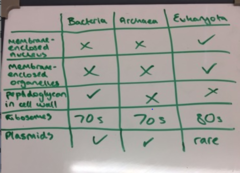 <p>/meɪk kəmˈpærɪsnz/</p><p>(collocation) đưa ra so sánh</p><p>Candidates should make comparisons between different categories.</p>