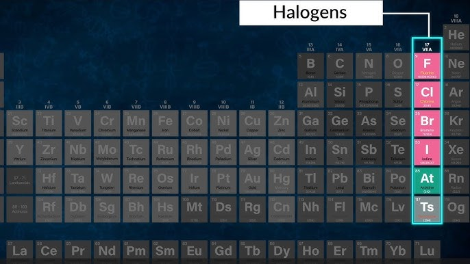 <ul><li><p>Iodine and chlorine → effective alone <em>and</em> as constituents of inorganic/organic compounds </p></li><li><p>Iodine: one of the oldest disinfectants and is available in tinctures </p></li><li><p>A liquid form of compressed chlorine gas can be used to disinfect municipal water supplies and swimming pools </p></li></ul><p></p>