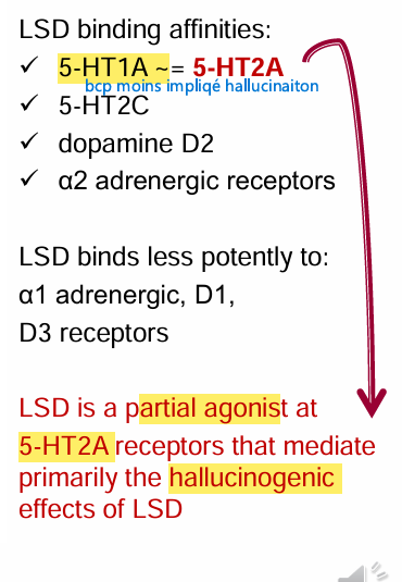 <p>Par contre l’ergotamine se lie non seulement aux récepteurs 5-HT mais aussi aux récepteurs noradrénergiques</p>