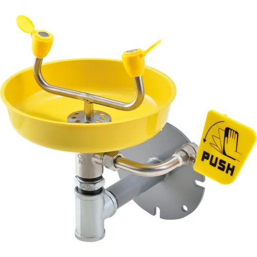 <p>A safety device that provides a continuous flow of water to flush chemicals or debris from the eyes in an emergency.</p>