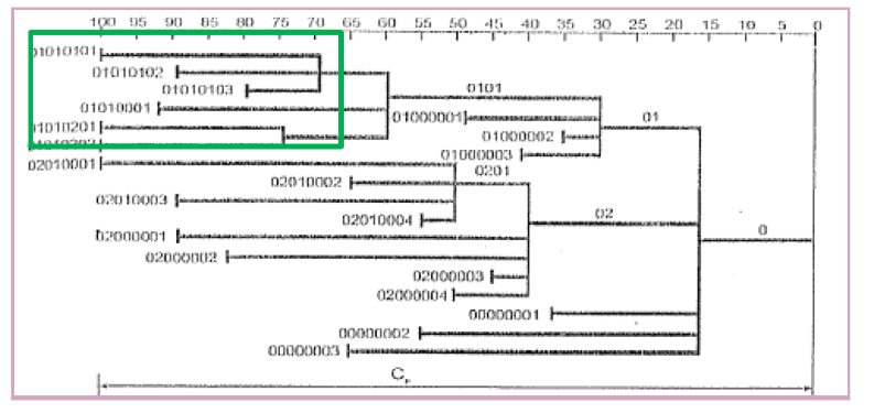<p>What is it?</p>