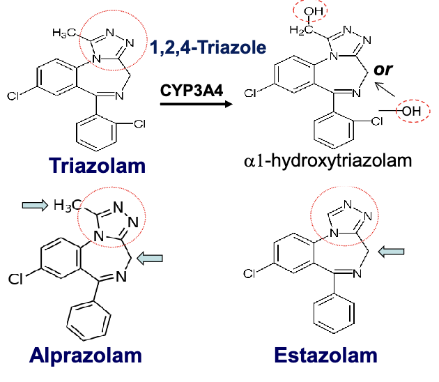 <ul><li><p>1,2,4 triazole ring fused to the benzodiazepine core at the 1,2 position= increased stability of the drug</p></li><li><p>triazolam: short acting</p></li><li><p>alprazolam: intermediate acting</p></li><li><p>estazolam: intermediate acting</p></li></ul><p>oxidized metabolites are inactive due to glucoronide conjugation</p>