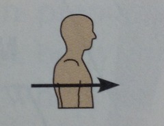 <p>toward or at the front of the body; in front of (ex: the breastbone is anterior to the spine)</p>