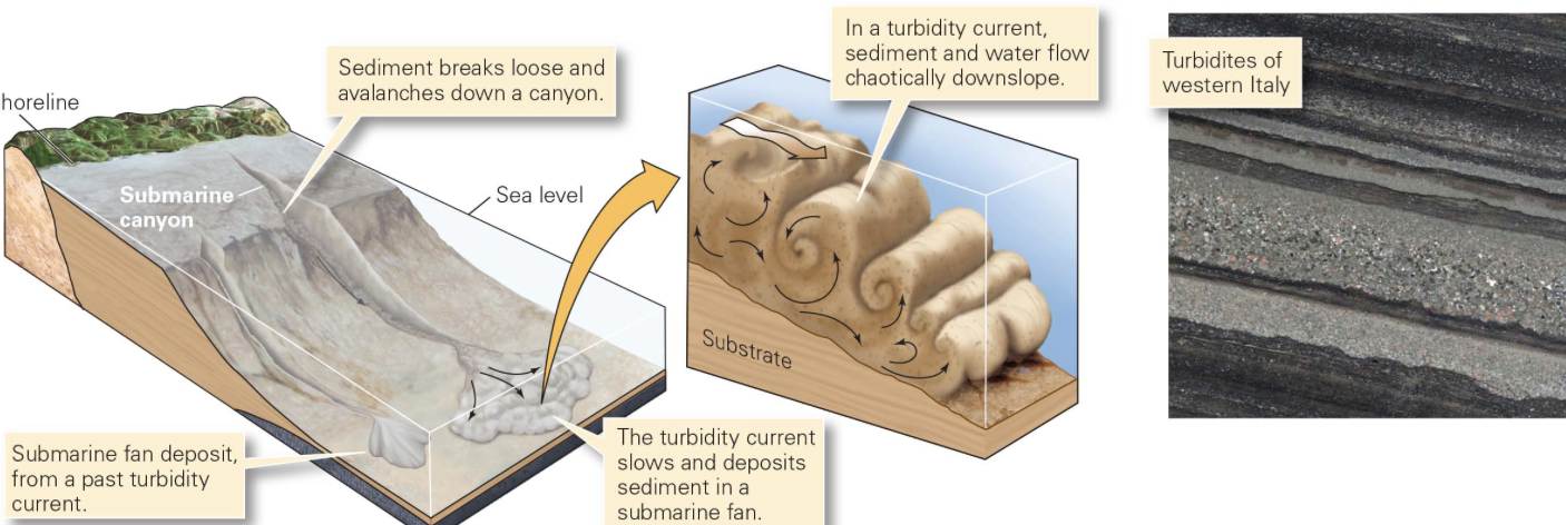 <p>How do we form a graded bed?</p>
