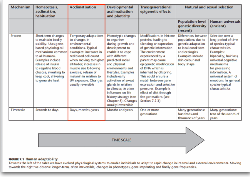 <ul><li><p>transgenerational = ervaringen moeder invloed kind</p></li></ul><p></p>
