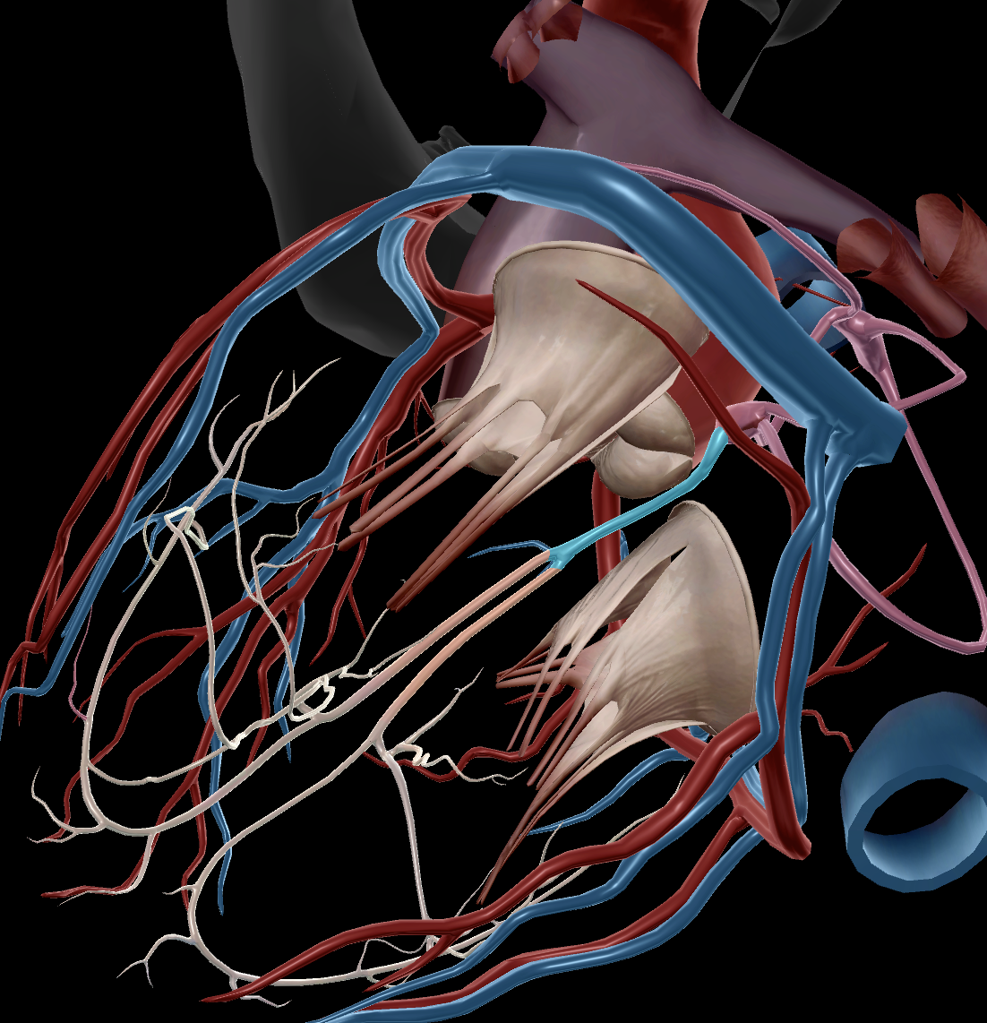 knowt flashcard image