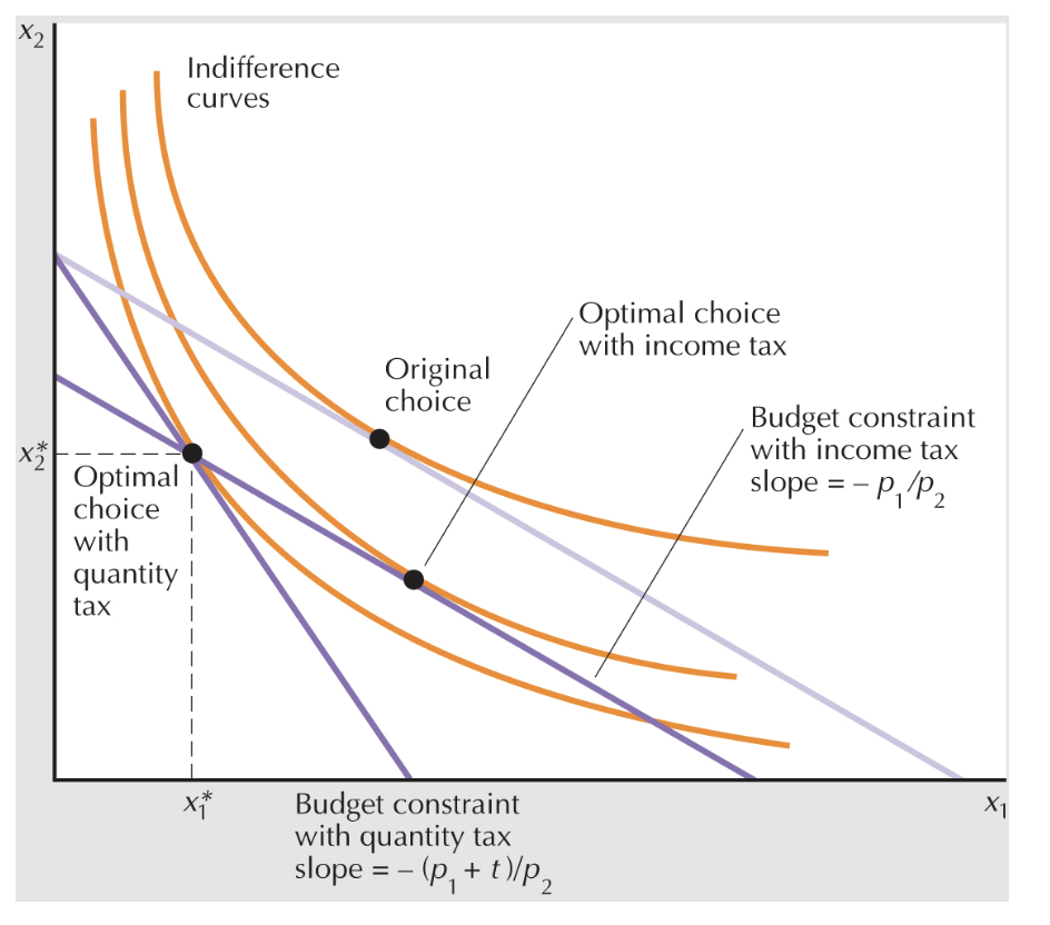 <p>income tax vs quantity tax on budget constraint </p>