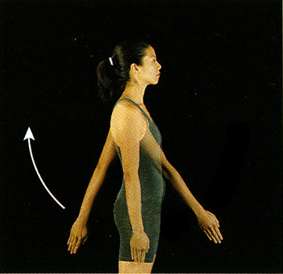 <p>What body movement is this? (Extension beyond anatomical position)</p>