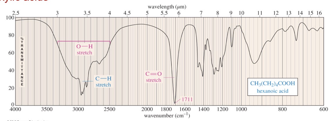 <p>Carboxlyic acid</p>