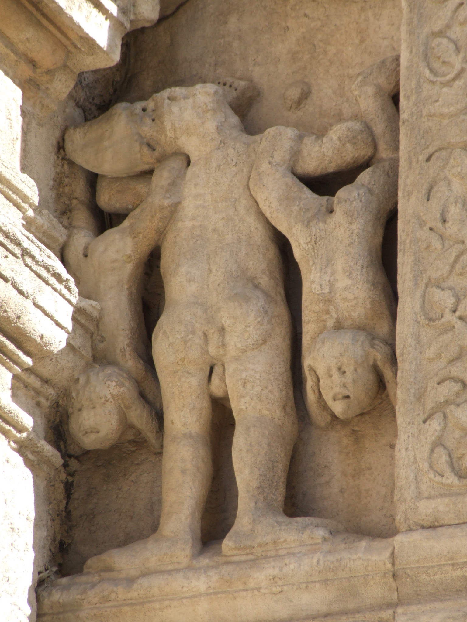 term image