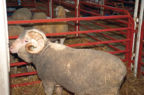 <img src="blob:null/34ad46b1-9550-4ef6-a9f0-cd4bb6f6dedc"><p></p>