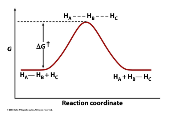 <p>Activation energy (ΔG‡)</p>