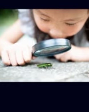 <p>To find</p>