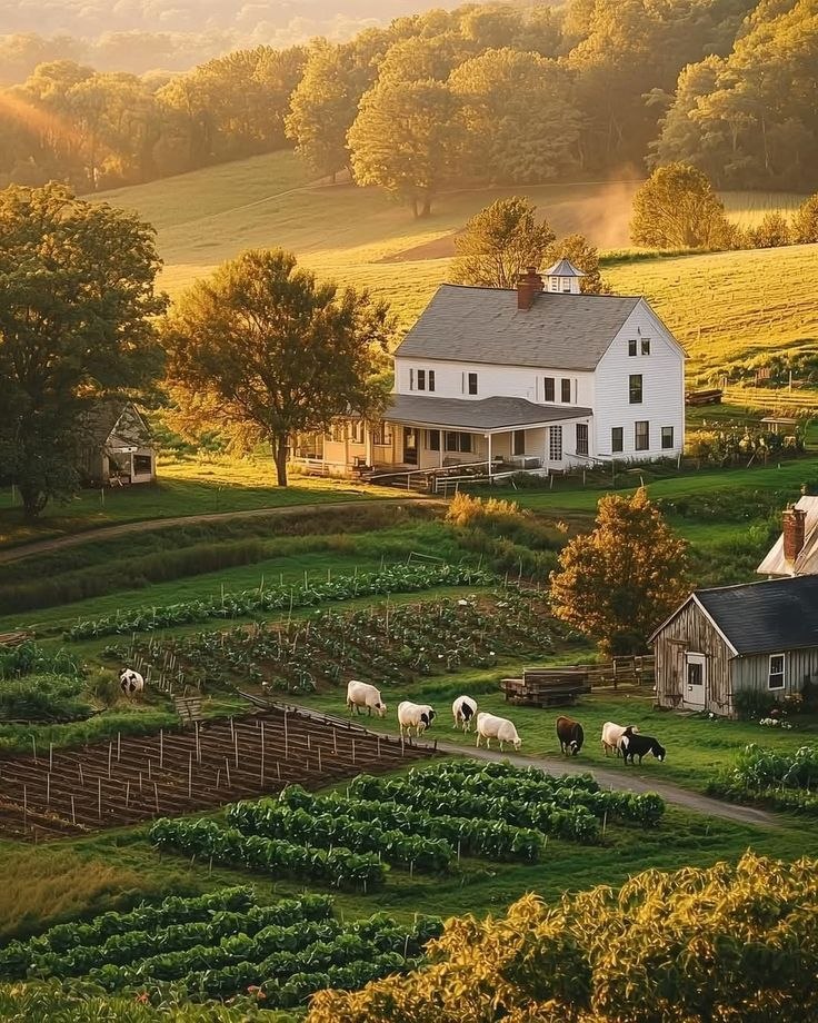 <p>farmhouse</p>