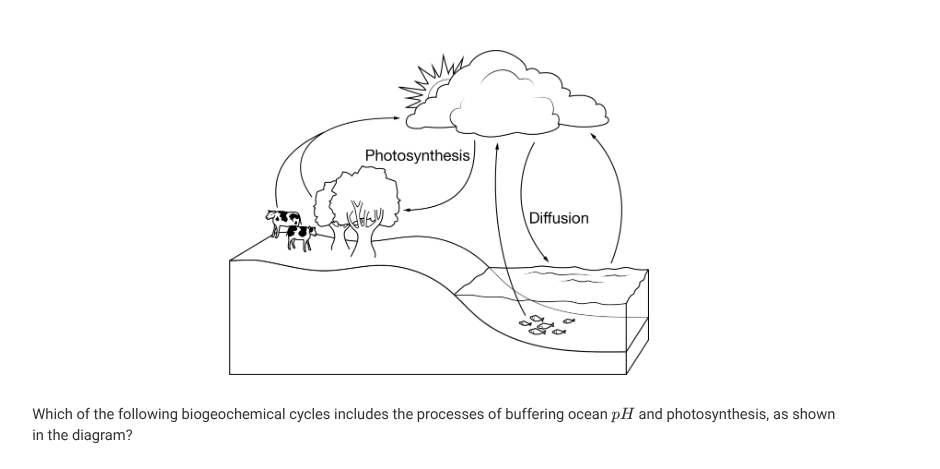 <p><strong><br>A</strong></p><p class="choice_paragraph">The carbon cycle</p><p><strong>B</strong></p><p class="choice_paragraph">The nitrogen cycle</p><p><strong>C</strong></p><p class="choice_paragraph">The phosphorus cycle</p><p><strong>D</strong></p><p class="choice_paragraph">The potassium cycle</p>