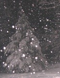 <p>Está nevando</p>