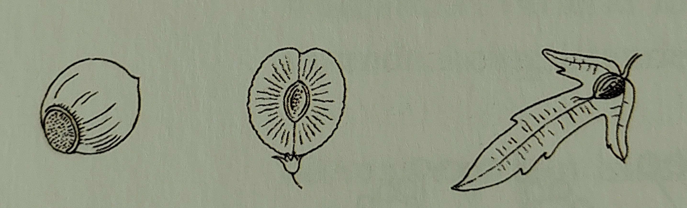 <p></p>