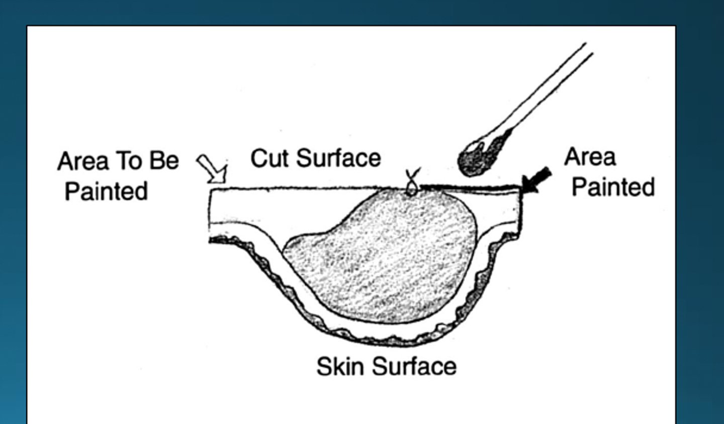 knowt flashcard image