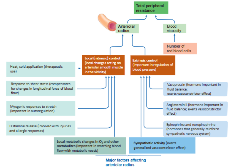 <p>review question 42 im confused </p>