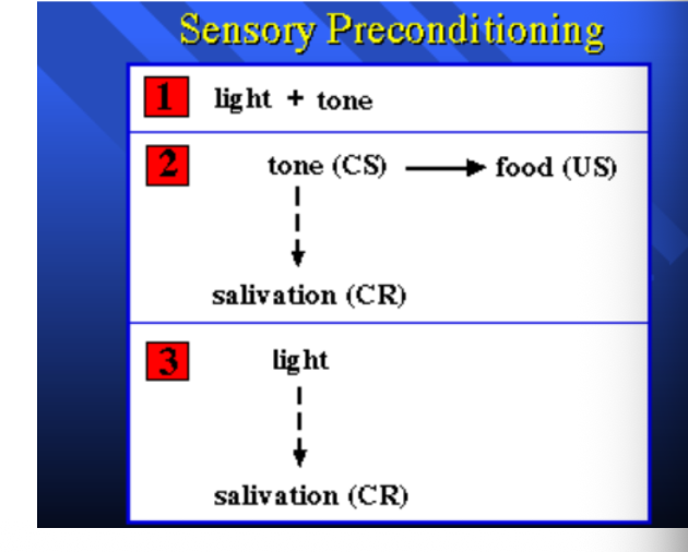 <ol><li><p>exposure to two neutral stimuli in succession leads to the association between those two stimuli </p></li><li><p>this association can occur even if neither stimulus initially elicits a response </p></li><li><p>it involved pairing of two initially unrelated stimuli in such a way that later presentation of one stimulus can evoke a response typically associated with the CR</p></li></ol><p></p>