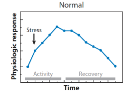 <p>Earliest stage of Alarm Reaction mediated by the activation of SNS (Epinephrine and Norepinephrine)</p>