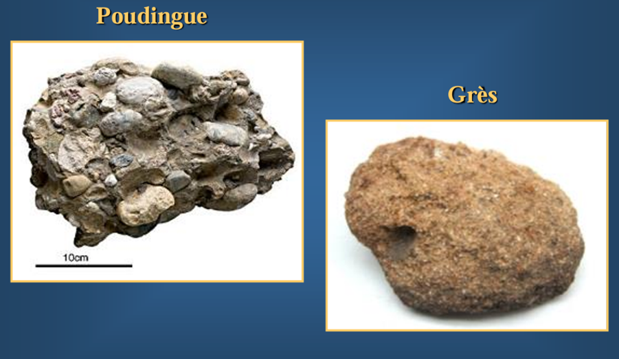 <p>Grès : roche dure issue du sable</p><p>Poudingue (conglomérat) : assemblage de galets cimentés</p><p>Schiste : roche issue d’argiles transformées</p>