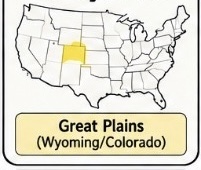 <p>Great Plains — buffalo hunting and horse culture</p>