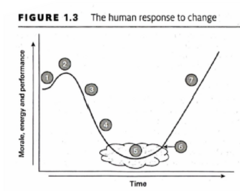 <p>list the 7 stages of the human response to change</p>