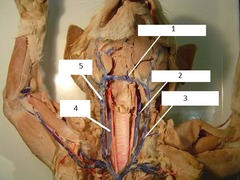 <p>2</p>