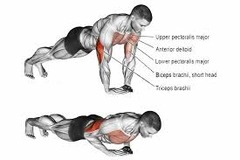 <p>thực hiện một số động tác chống đẩy</p>
