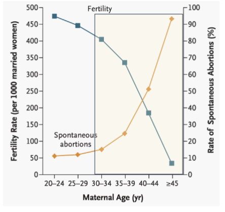 <ul><li><p>Age</p></li><li><p>the ability of oocytes to maintain proper chromosome segregation declines.</p></li><li><p>leads to <strong>meiotic errors</strong>, resulting in <strong>aneuploidy</strong> (eggs with the wrong number of chromosomes) </p><ul><li><p>causes spontaneous abortion</p></li></ul></li></ul><p></p>