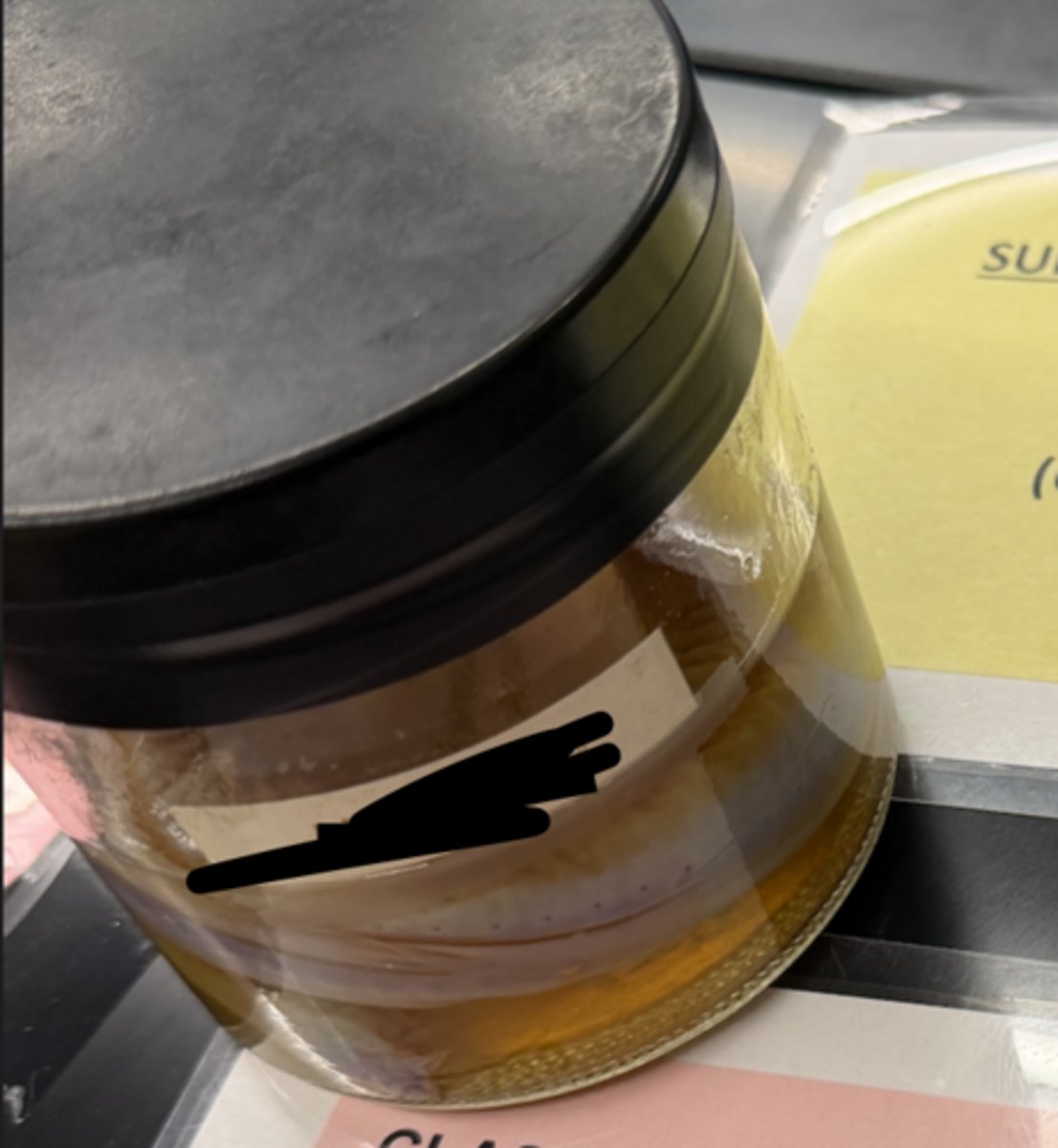 <p>subphylum, class, and name</p>