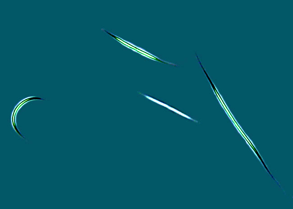 <p>Identify</p>